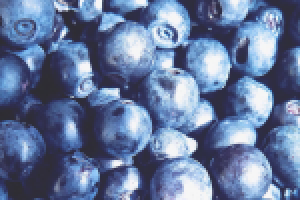 Работа 2897504