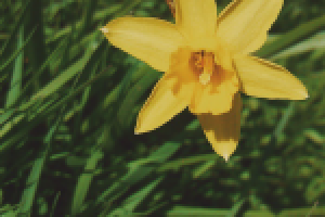 Работа 2897501