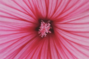 Работа 2897465