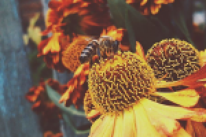 Работа 2897454