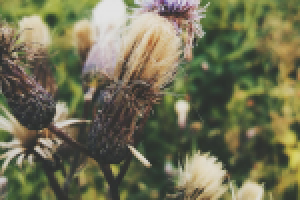 Работа 2897453