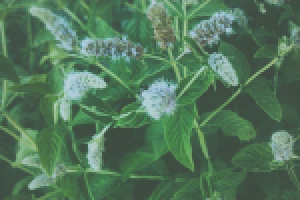 Работа 2055932