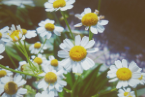 Работа 2055928