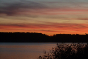 Работа 2897495