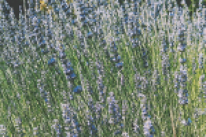 Работа 2897505