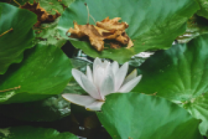 Работа 2897500