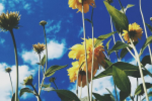 Работа 2897498