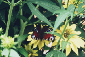 Работа 2897491