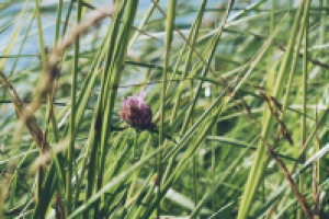 Работа 2897490