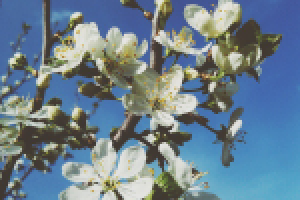 Работа 2897488