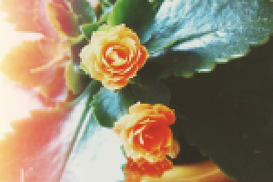 Работа 2897486