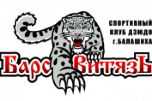 Логотип детского спортивного клуба  "Барс-Витязь"