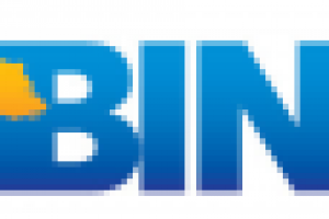 Логотип "FinBinary"