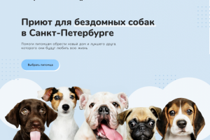 Дизайн одностраничного сайта для приюта собак