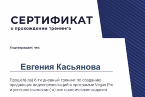 Пример монтажа видео в VegasPro