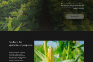 Работа 4145125