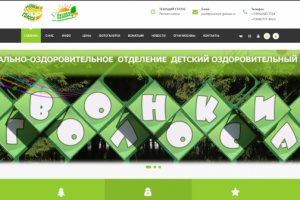 Сайт для Детского Оздоровительного Лагеря "Звонкие голоса"