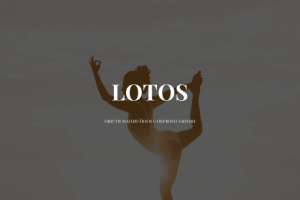 Lotos - студия йоги