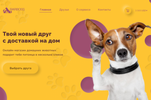 Дизайн сайта  для интернет-зоомагазина