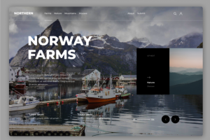 Дизайн сайта туристической компании/перевозчика