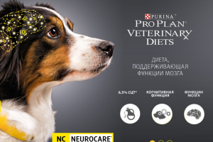 Дизайн интернет-магазина "ГавГав" - зоомагазин