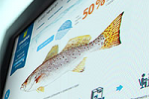 Дизайн интернет магазина Икра-Тунайча - морепродукты