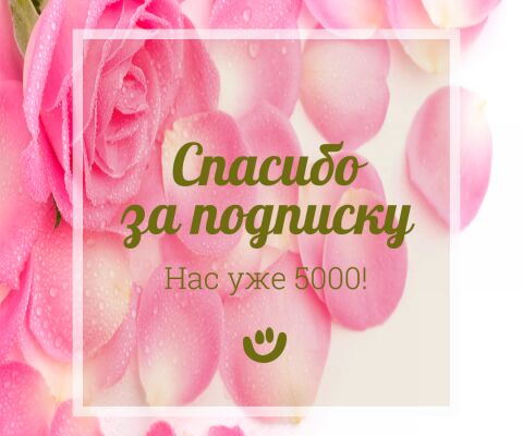 img3613483.png