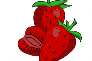 Иллюстрации