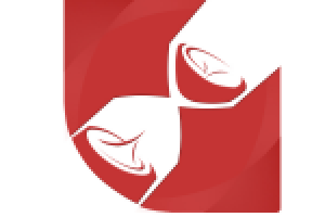 Работа 2124115