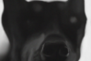 Работа 2128395