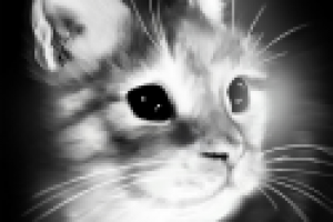 Работа 2128393