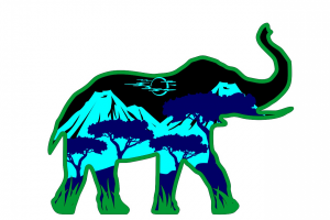 Раскраски. Творческий набор.