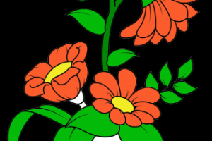 Компания ГЕРА. Почва.