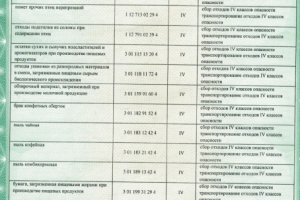 Текст с фото в Exel