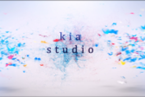 Логотип бабочки