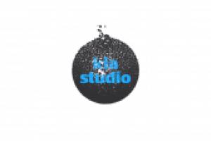 Вариант логотипа