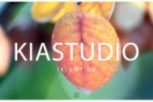Логотип kiastudio осенний