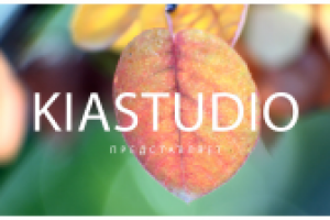 Презентационное слайд-шоу kiastudio