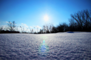 Работа 2239353