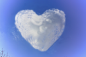 Работа 2239352