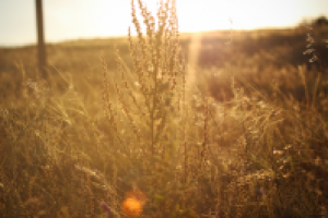 Работа 2059911