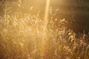 Работа 2059905