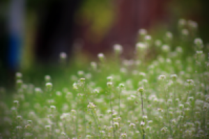 Работа 2058958