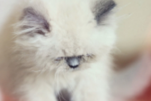 Видеосъемка, монтаж, цветокоррекция, эффекты, звук в видео