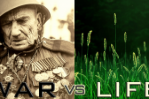 Видеомонтаж, монтаж, цветокоррекция, звук в видео