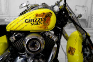 Работа 3055087