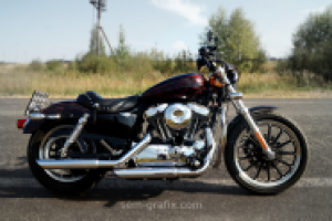 Работа 3055256