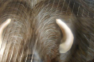 Работа 3055129