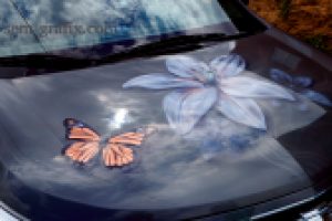 Работа 3055069