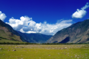 Работа 3055120